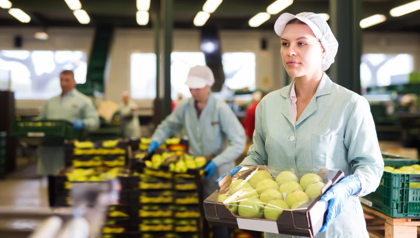 Hoe de FEFO-methode afval vermindert, versheid garandeert en de winstgevendheid van levensmiddelen- en dranken bedrijven verbetert