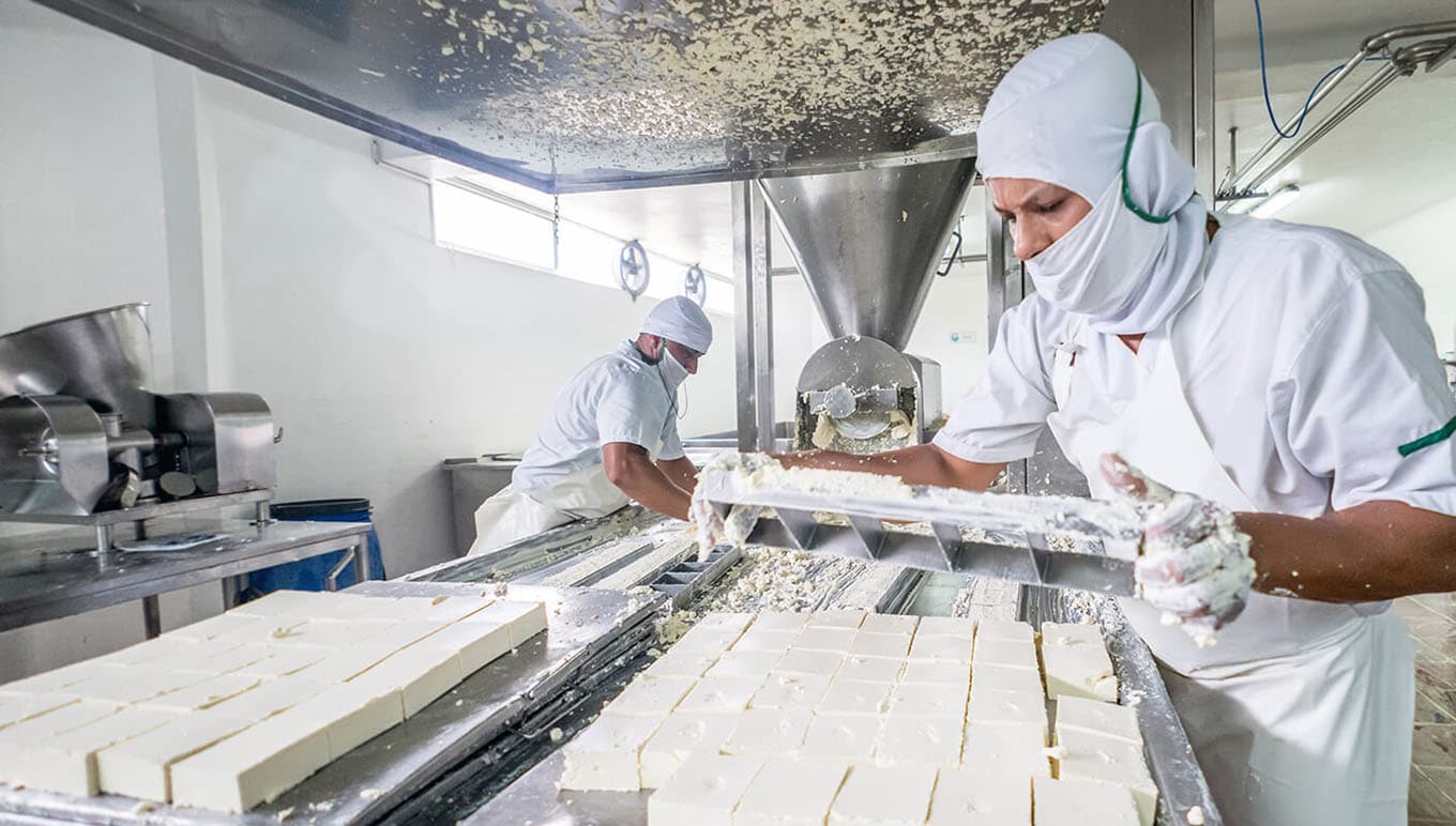 card-the-three-steps-of-dairy-production-in-need-of-a-better-erp