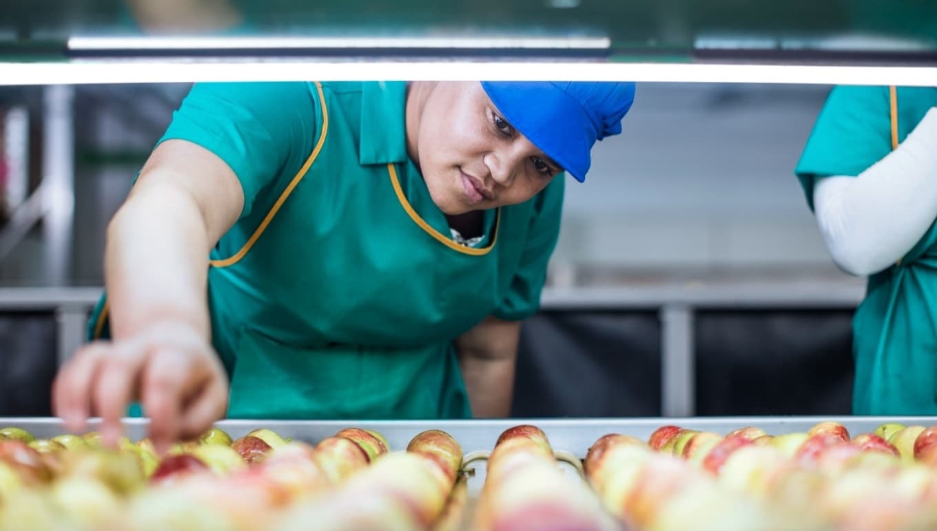 4 Steps to Create Excellent Food Product Traceability Procedures