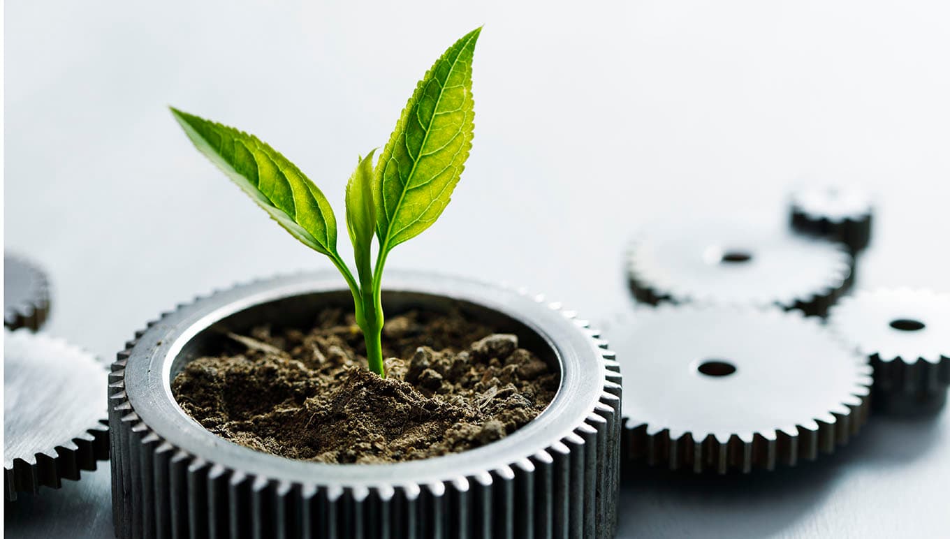 card-sustainability-in-consumer-goods-supply-chain