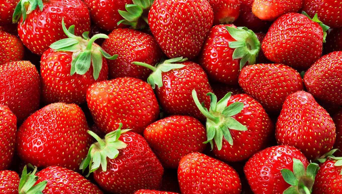card-direct-to-consumer-models-for-fresh-produce