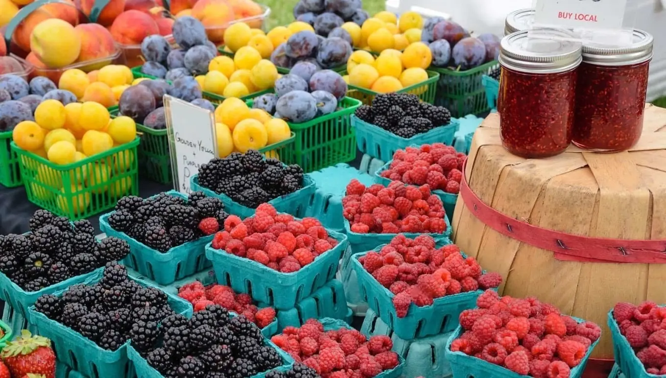 Aptean PLM, Lascom Edition pour le secteur alimentaire