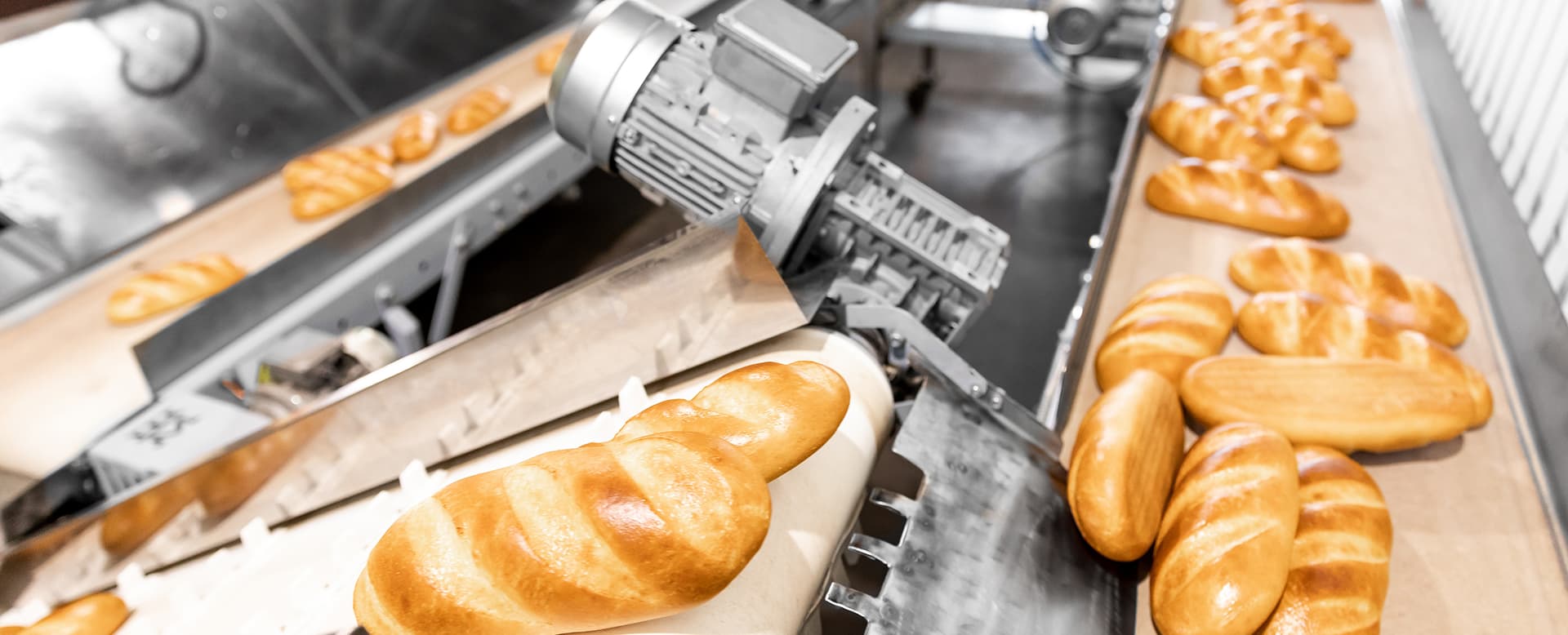 Bakery ERP With All the Right Ingredients