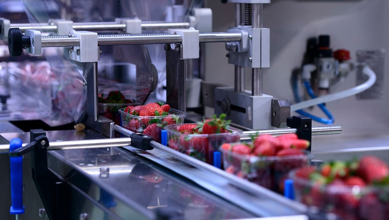 Tackling the Ongoing Challenge of Fresh Produce Packaging