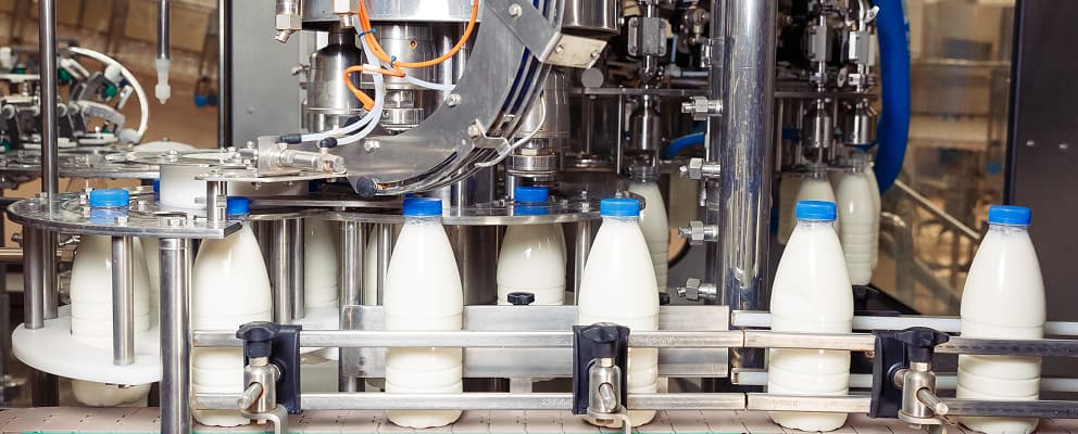 Dairy