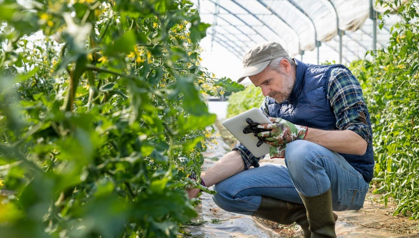 5 manieren om uw voedingsmiddelenbedrijf duurzaam te laten groeien